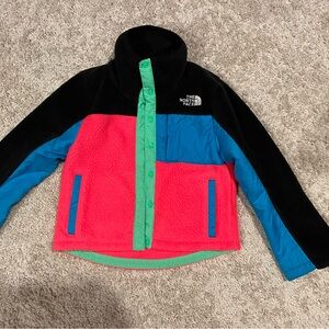 The North Face Colorblock Fleece Jacket